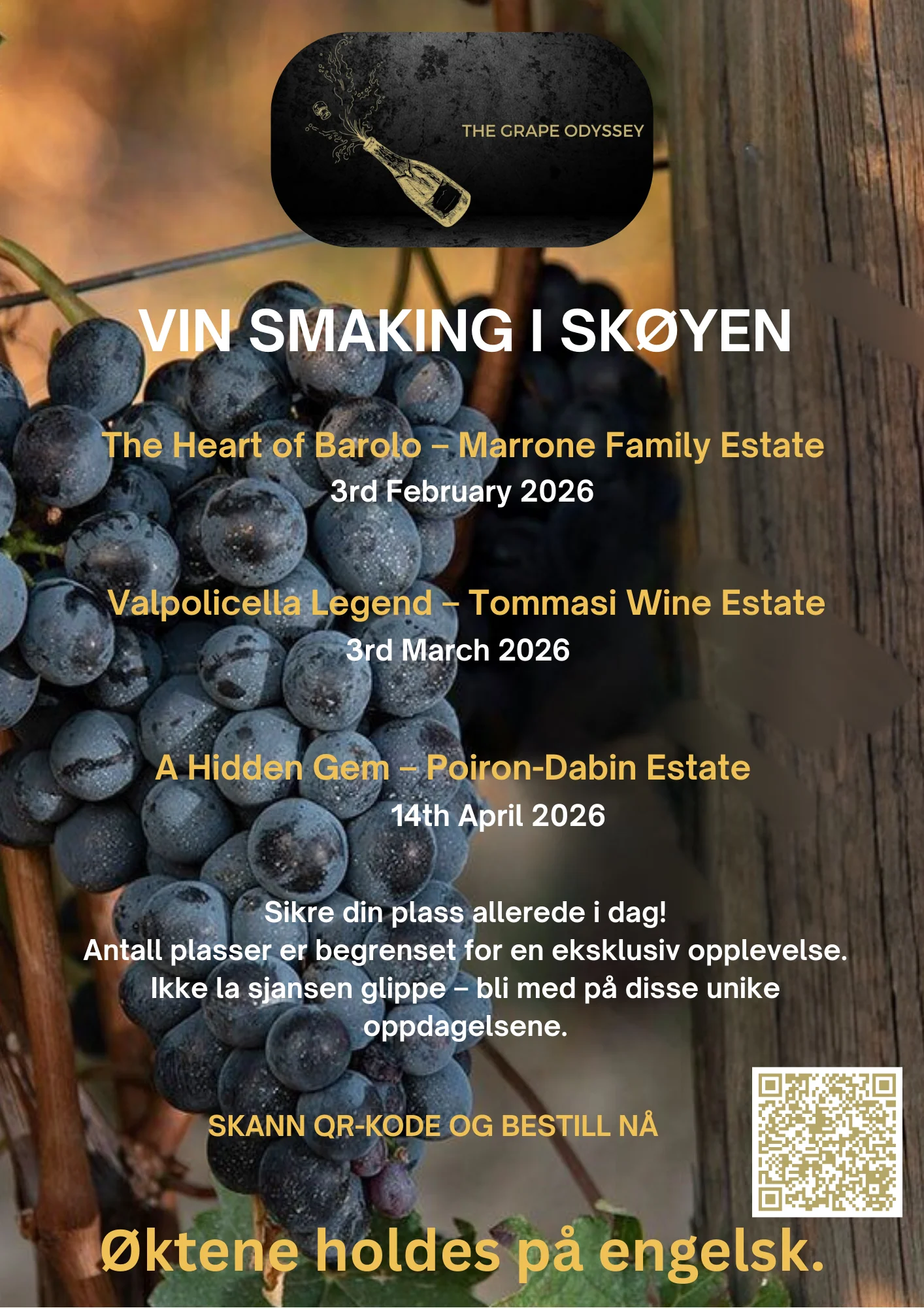 Wine tasting in Skøyen, Oslo, Norway